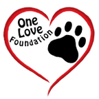 One Love Foundation Inc.
