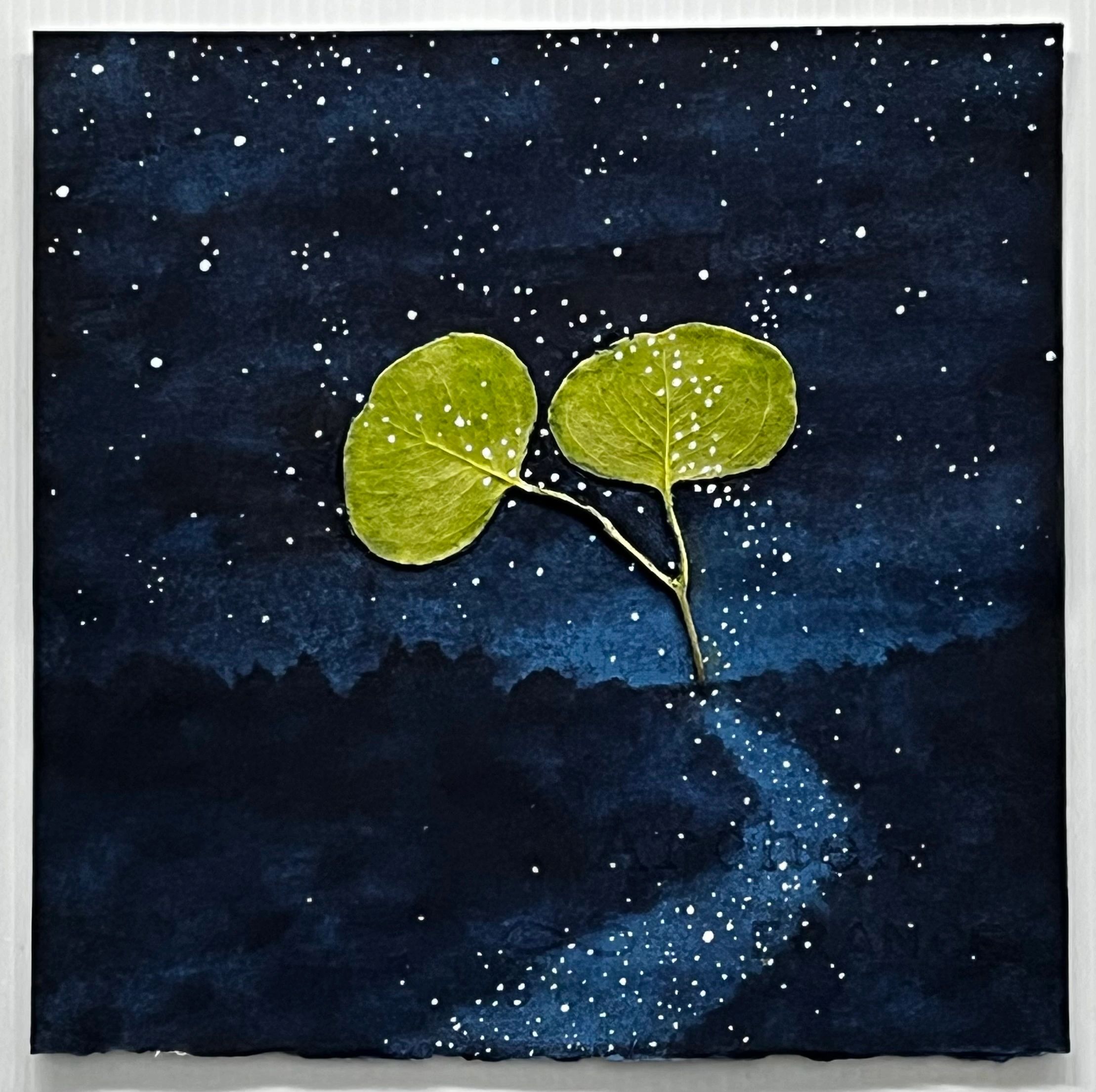 deep blue, starry sky, landscape path, trees, large green leaves,  nature, magical realism, surreali