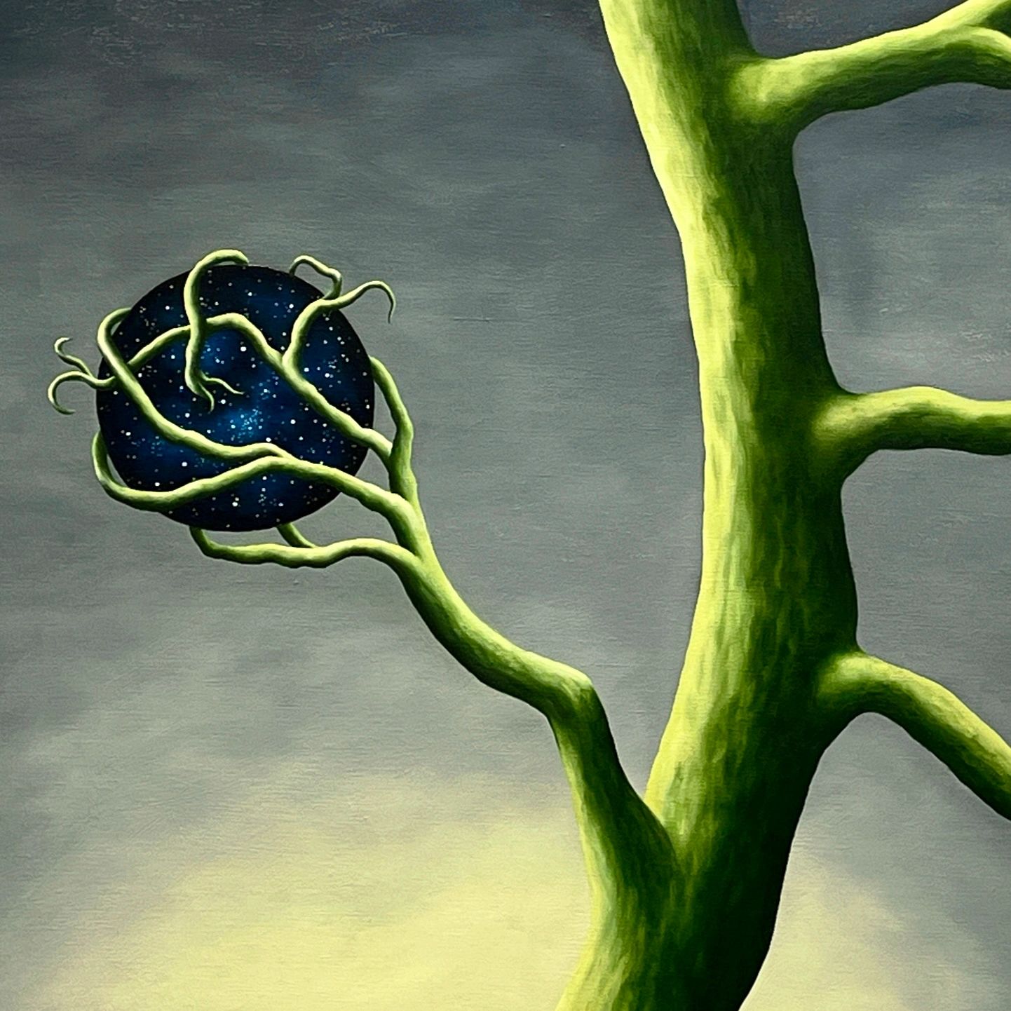 Green, tree limbs, starry sky ball, dark atmospheric background, nature, magical realism, surrealism