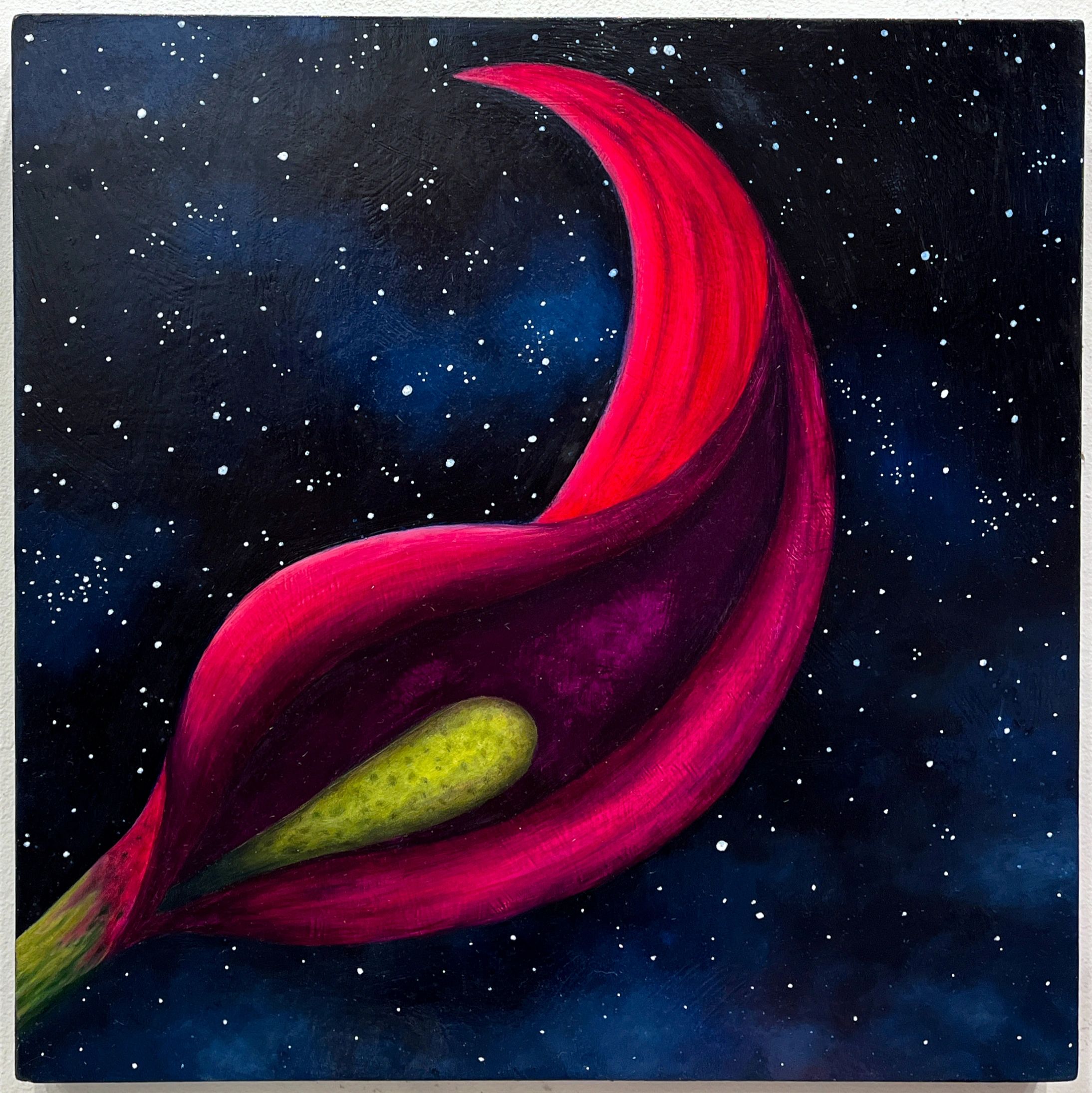 Red pink Purple flower calla Lily in space Starry skies oil painting small 12"x12"
dark atmospheric