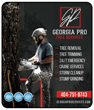 Tree Services McDonough Georgia Pro Tree Removal Experts