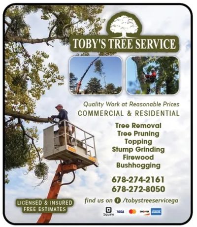 Tree Service McDonough Toby's