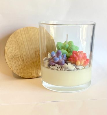 14oz  Organic Soy Wax Succulent Terrarium Candle.