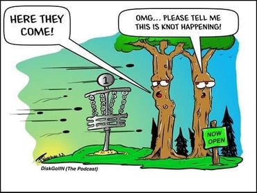 trees and disc golf are not usually a good mix