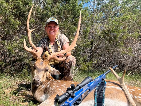 Axis Deer Hunts Texas