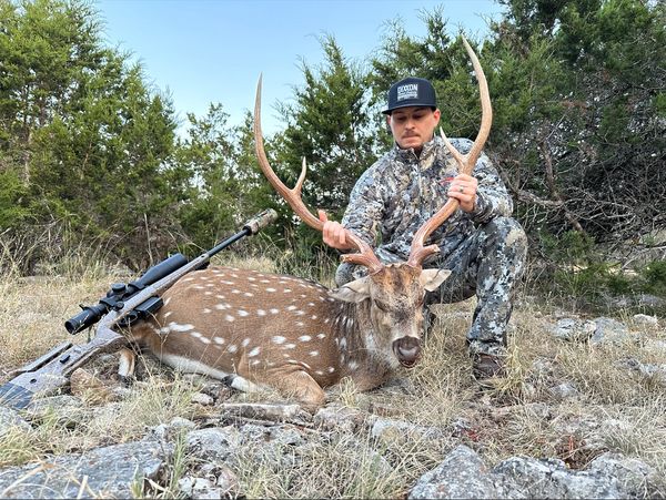 Axis Deer Hunts Texas