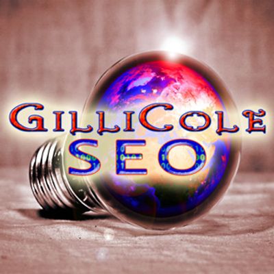 GilliCole Domains offers cheap DIY website optimizing tools that pair nicely with Website Builder