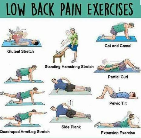 Lower Back At-Home Exercises