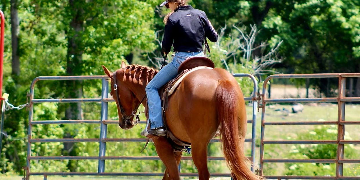 A person rides a brown horse in an outdoor fenced area with green trees.