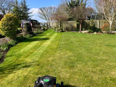 A freshly mowed lawn with visible stripes and a lawnmower in the foreground.