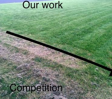 Side-by-side comparison of freshly mowed green grass and dry, patchy grass.