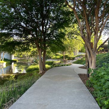 A serene concrete pathway winding through lush greenery and trees beside a water body.