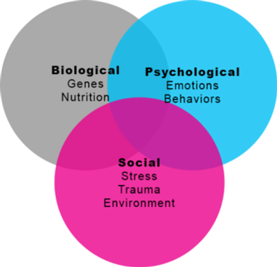 The Biopsychosocial Model of Health Psychology