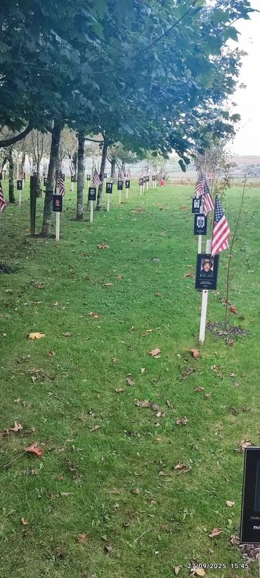 Rows of memorial crosses with American flags in a peaceful outdoor setting.