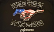 Wild West Mustangs and Fords, Arizona