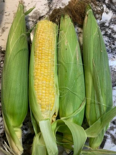 Hedges' Farm Sweet Corn