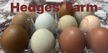 We have fresh eggs from our hens here at Hedges' Farm.