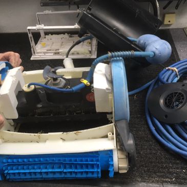 Dolphin Robotic Pool Cleaner Repair