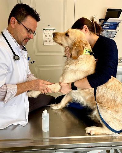Tests de santé rigoureux