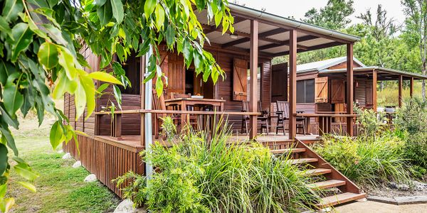Cozy wooden cabins with covered porches surrounded by lush greenery.