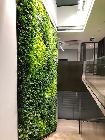 Custom Living Wall at TriCon offices in Toronto ON by Vertical Landscape Architects