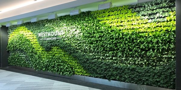 Living Wall by Vertical Landscape Architects at Westmount Shopping Centre in London ON