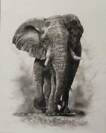 Fumage drawing of an African bush Elephant, created by using smoke and soot of a candle