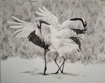 Fumage fine art drawing of Japanese Red crown cranes
