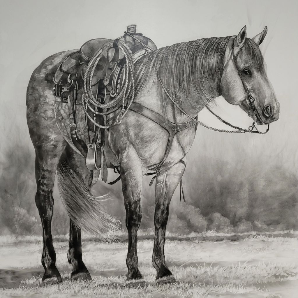 Fumage black and white drawing of a dapple grey quarter horse used in rodeos and cattle ranches