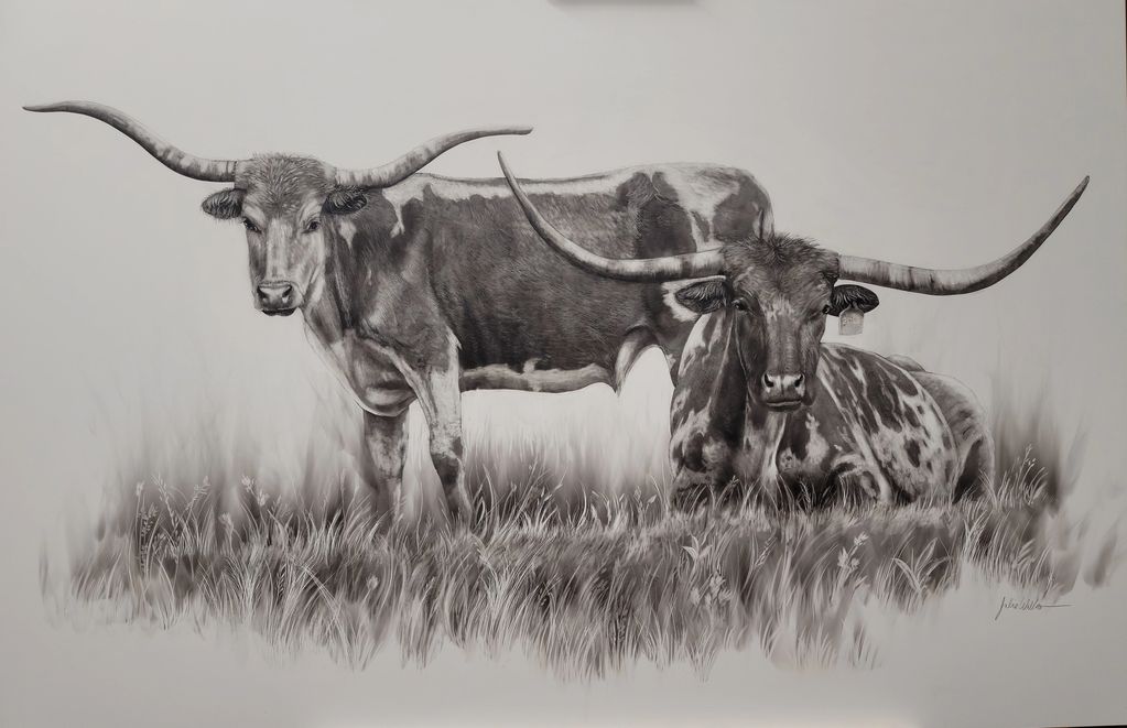  Texas Longhorn drawing, fumage art