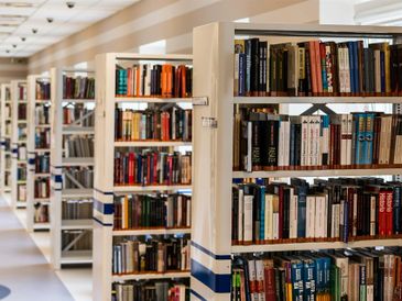 Image by Michal Jarmoluk from Pixabay