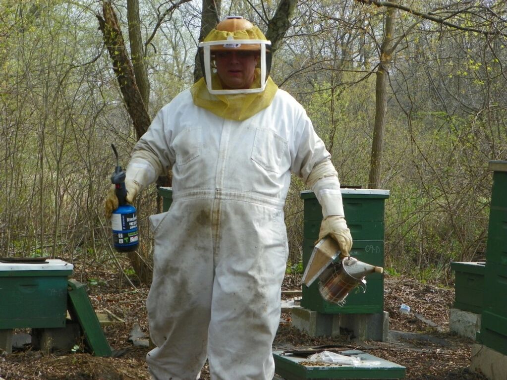 Calming the bees