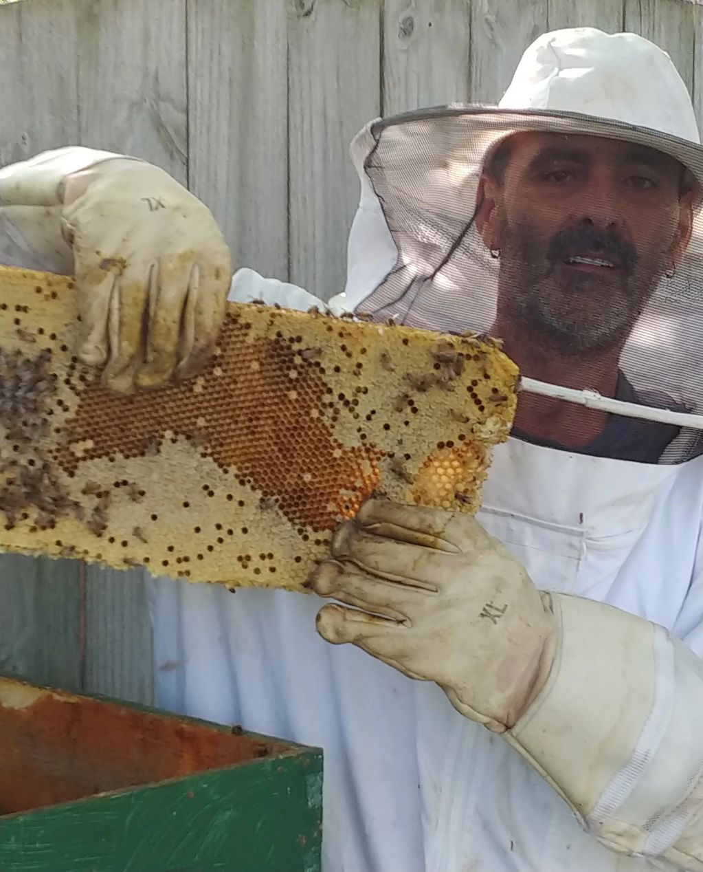 Gary checking out after catching a swarm