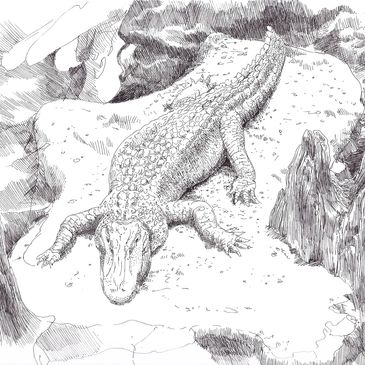ink drawing of Claude the Alligator San Francisco