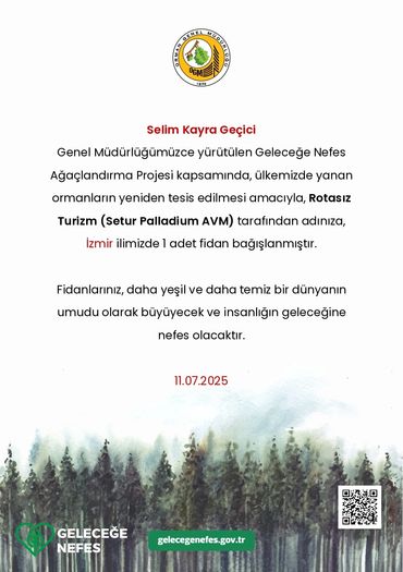 bodrumda gidilecek yerler