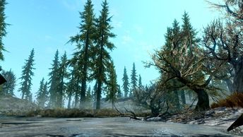 ZachTheNebula sent us this in our Discord showing off "The Valley of Giants" in Skyrim. Beautiful