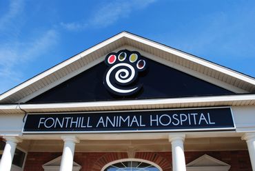 Fonthill Animal Hospital