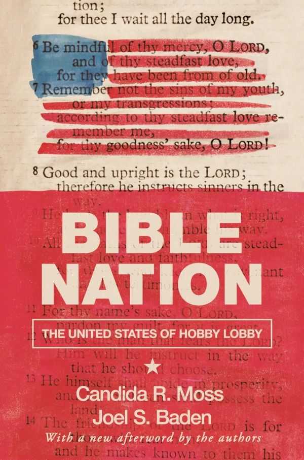 Book Cover: Red with an American flag on top of the Bible. Writing on cover says "Bible Nation"