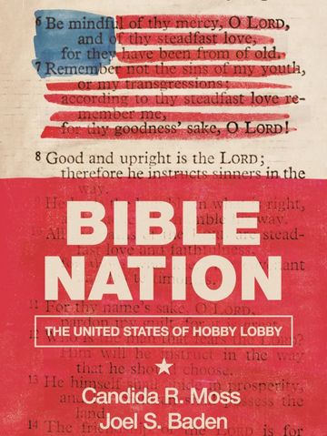 Book Cover: Red with an American flag on top of the Bible. Writing on cover says "Bible Nation"