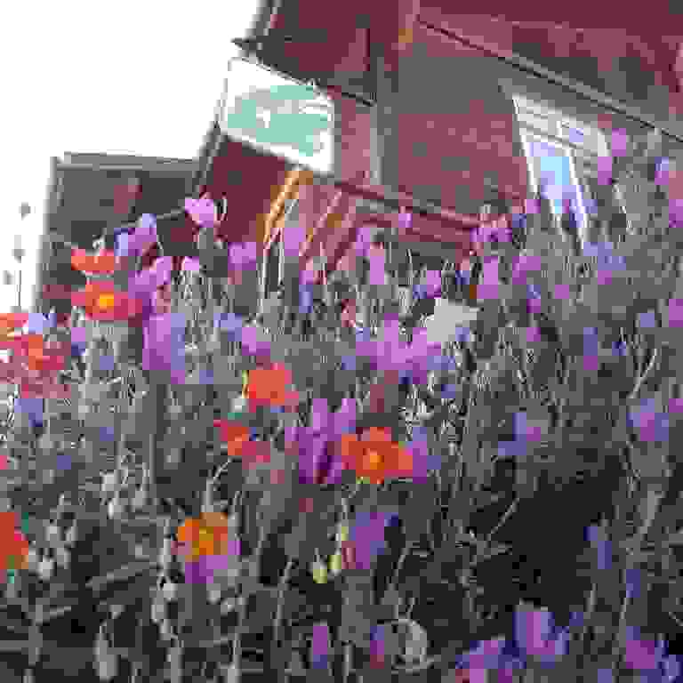 image76