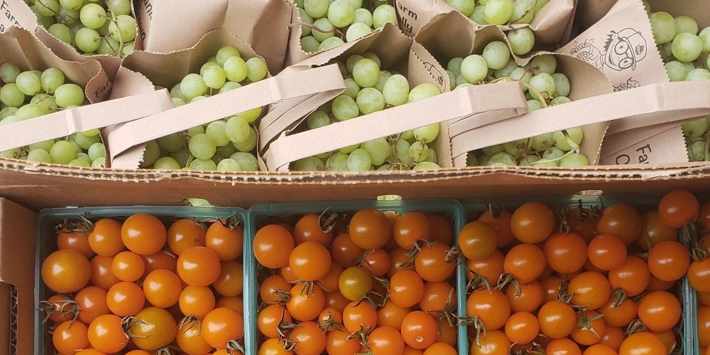 organic cherry tomatoes and green grapes