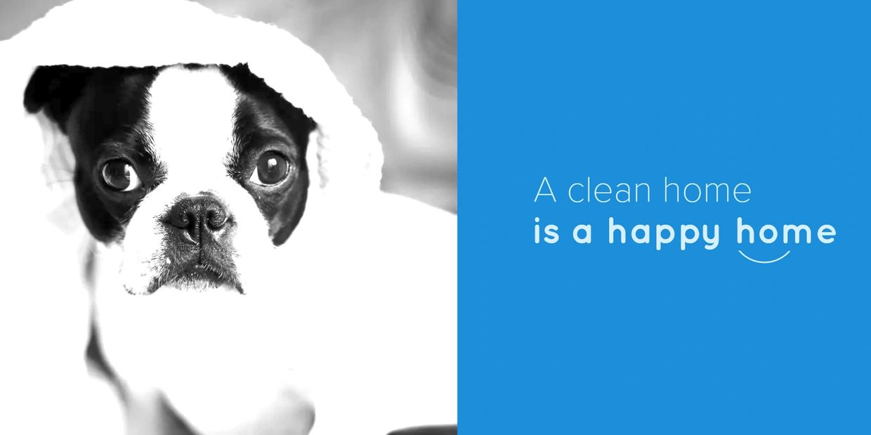 Black and white dog wrapped in towel with text about a clean home.