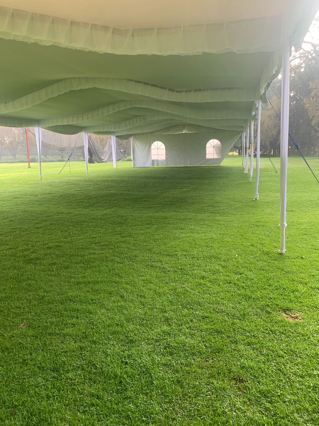 Jardines y renta de carpas