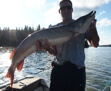 55 inch Muskie at Cedar Lake