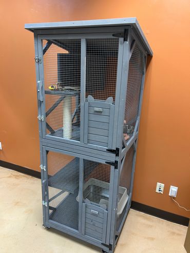 Cat boarding with a view- this cat cabin can be placed in front of the window