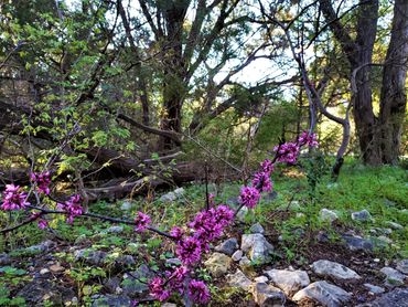 Just something nice to look at. Enjoy!