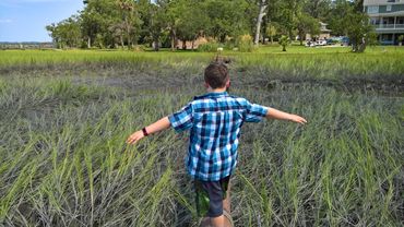 Restoring balance is not always easy. Let us help you get some balance back in your life.