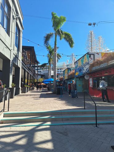 tampa