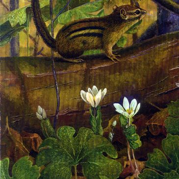 A chipmunk on a log surrounded by lush green leaves and white flowers in a forest.