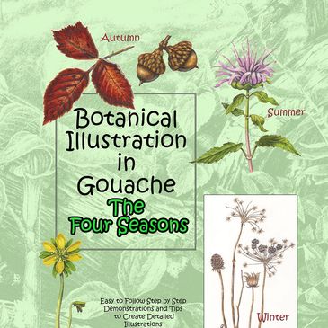 Botanical gouache illustrations representing the four seasons with detailed plants.